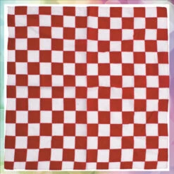 Brabant Bont Zakdoek Rood Wit Carnaval