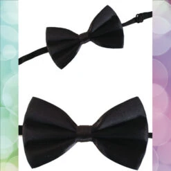 Strik / Vlinderdas Satijn Zwart