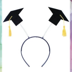 Geslaagd Diadeem / Afstudeer / Hoedjes