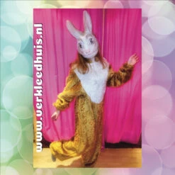 Paashaas Kostuum 3 | Huur