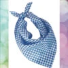 Oktoberfest Halsdoek Blauw / Wit -Scattando Webshop Winkel Shop Oktoberfest Zakdoek Blauw