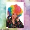 Pruik Afro Regenboog