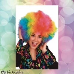 Pruik Afro Regenboog