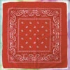 Boeren Zakdoek Rood -Scattando Webshop Winkel Shop Zakdoek Boer