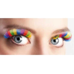 Wimpers Regenboog / Rainbow