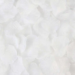 2000 Stuks Kunststof Rozen Blaadjes, Gratis Verzending -Scattando Webshop Winkel product image 1313117074